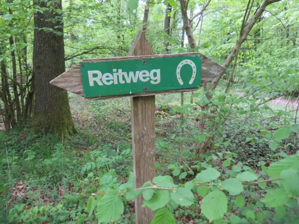 Grüner Pfeil-Wegweiser „Reitweg“ mit Hufeisen an einem Holzpfosten